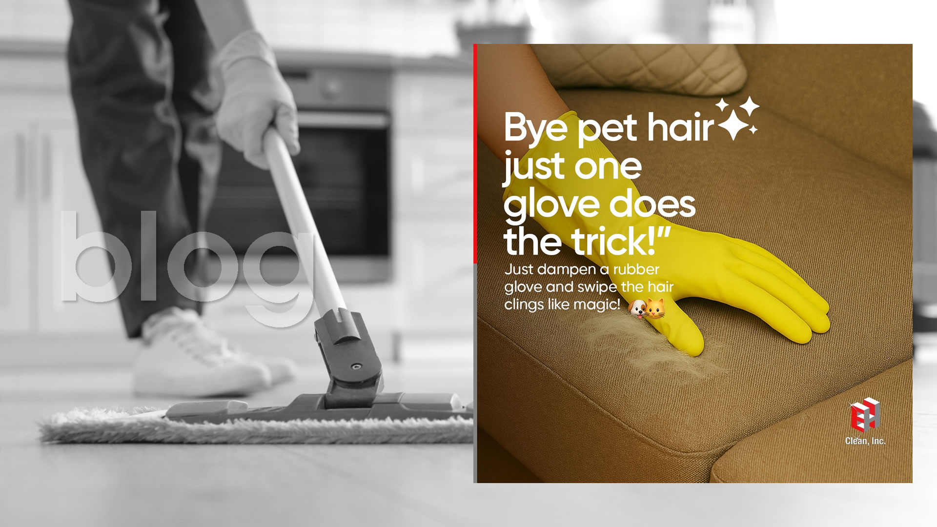 Effortless Pet Hair Removal | EH Clean, Inc.