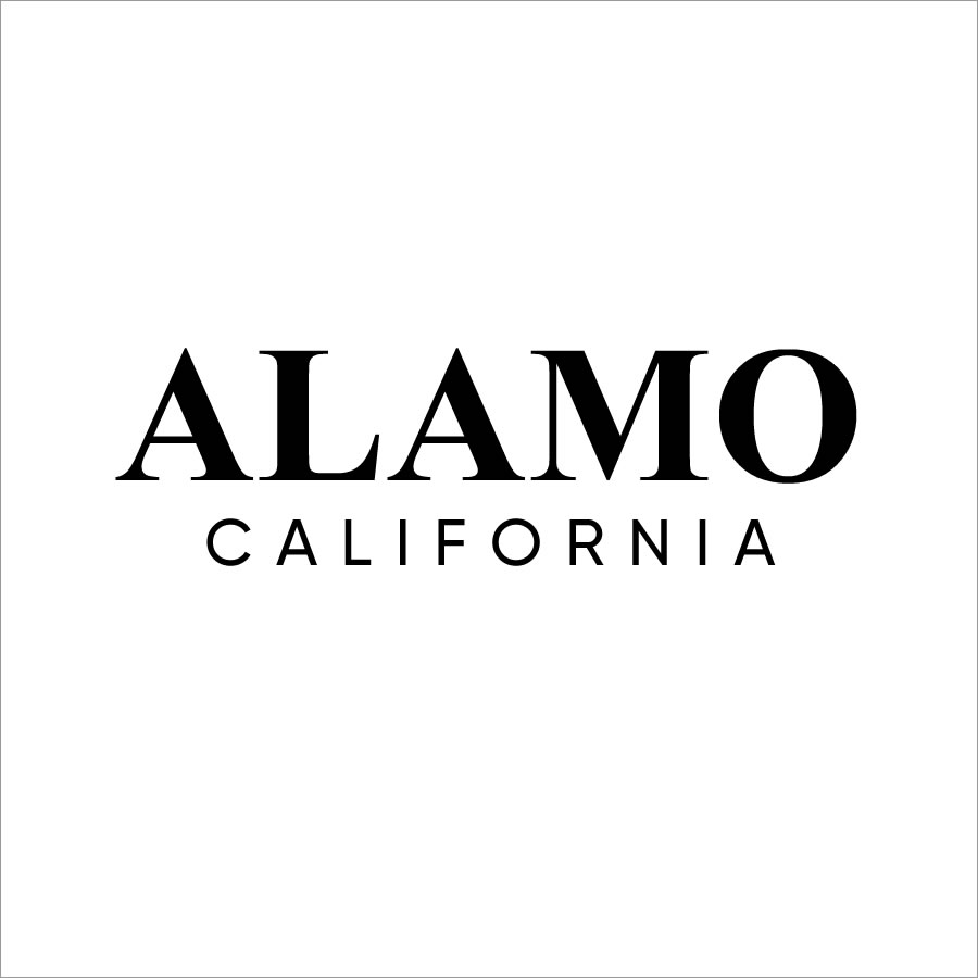 EH Clean, Housecleaning Alamo, Housecleaning services Alamo, Professional housecleaning services Alamo, Residential cleaning services Alamo, Commercial cleaning services Alamo, House cleaning Alamo, House cleaning services Alamo, Professional house cleaning services Alamo, Best home cleaners Alamo, Affordable house cleaning Alamo, Housecleaning near Alamo, House cleaning near Alamo