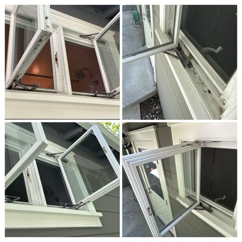 Move-In/Move-Out Cleaning